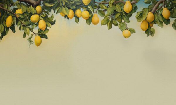 A lemons on a tree branch A lemons on a tree branch