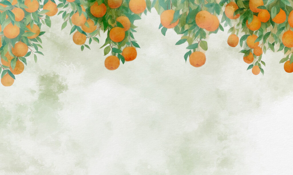Oranges on a tree branch Oranges on a tree branch