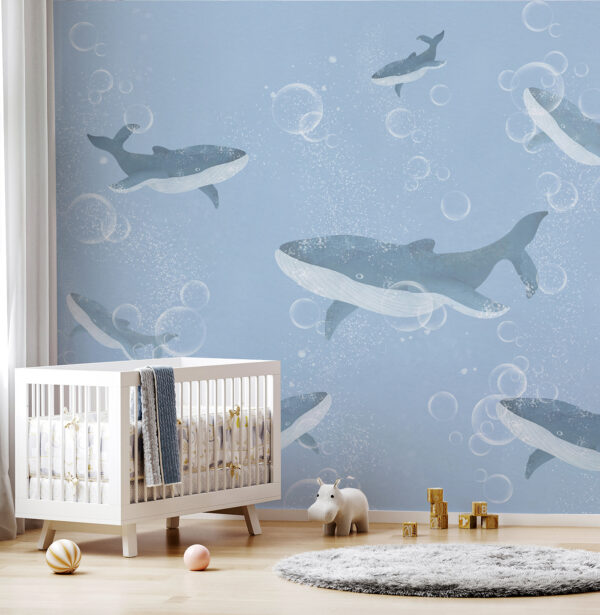 A group of whales swimming in water A group of whales swimming in water