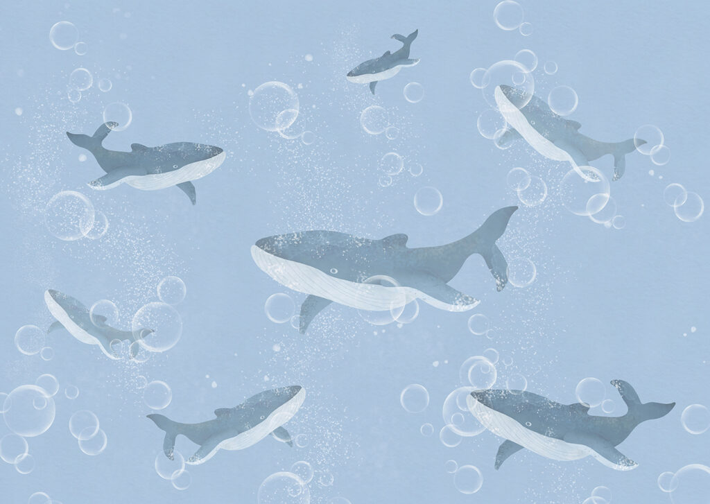 A group of whales swimming in water A group of whales swimming in water