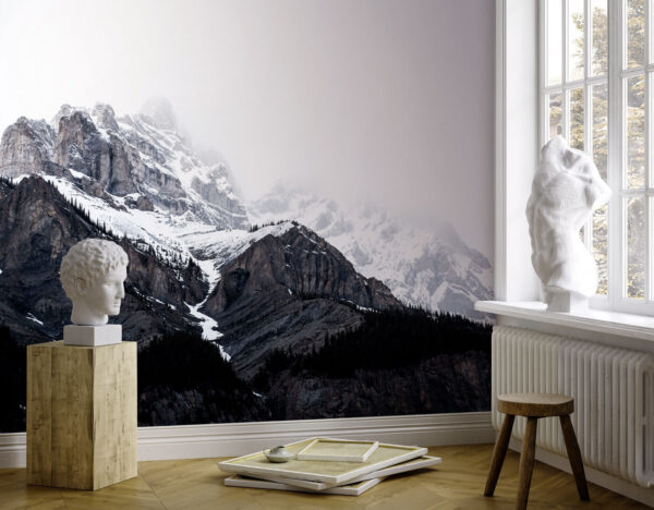 A snowy mountain with trees A snowy mountain with trees