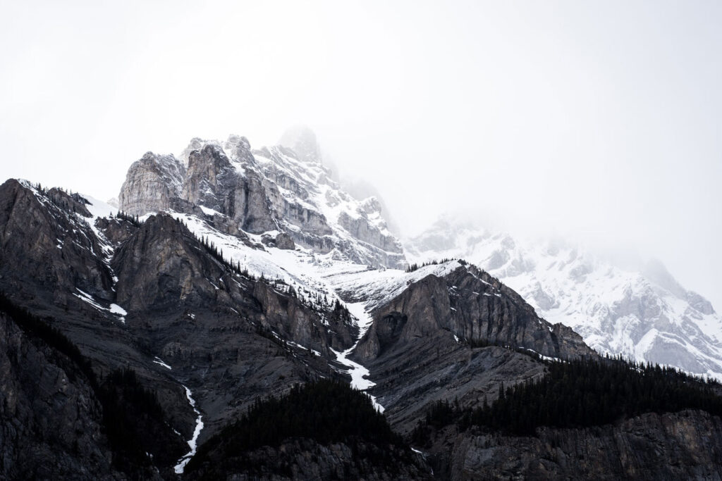 A snowy mountain with trees A snowy mountain with trees