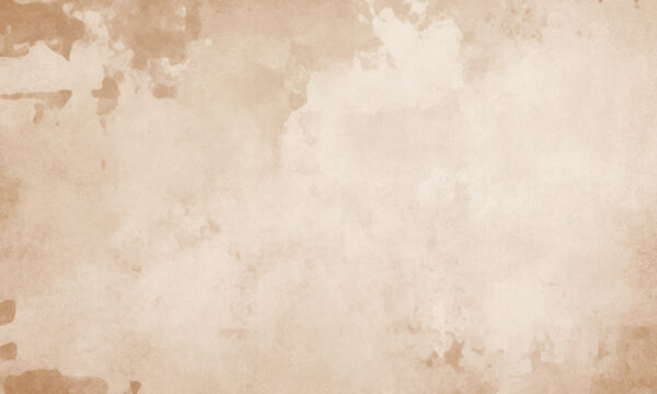 White and brown background White and brown background