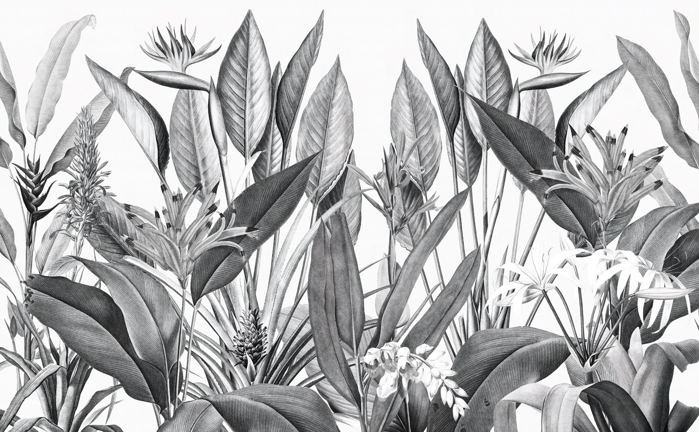 Tropical foliage in monochrome shades Tropical foliage in monochrome shades