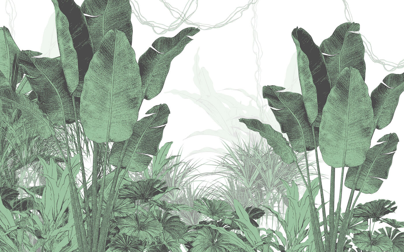 Group of plants with leaves Group of plants with leaves