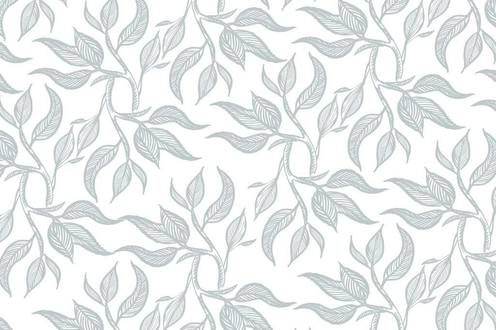 u96720p 1024x682 - Pattern of leaves on a white background - tegory