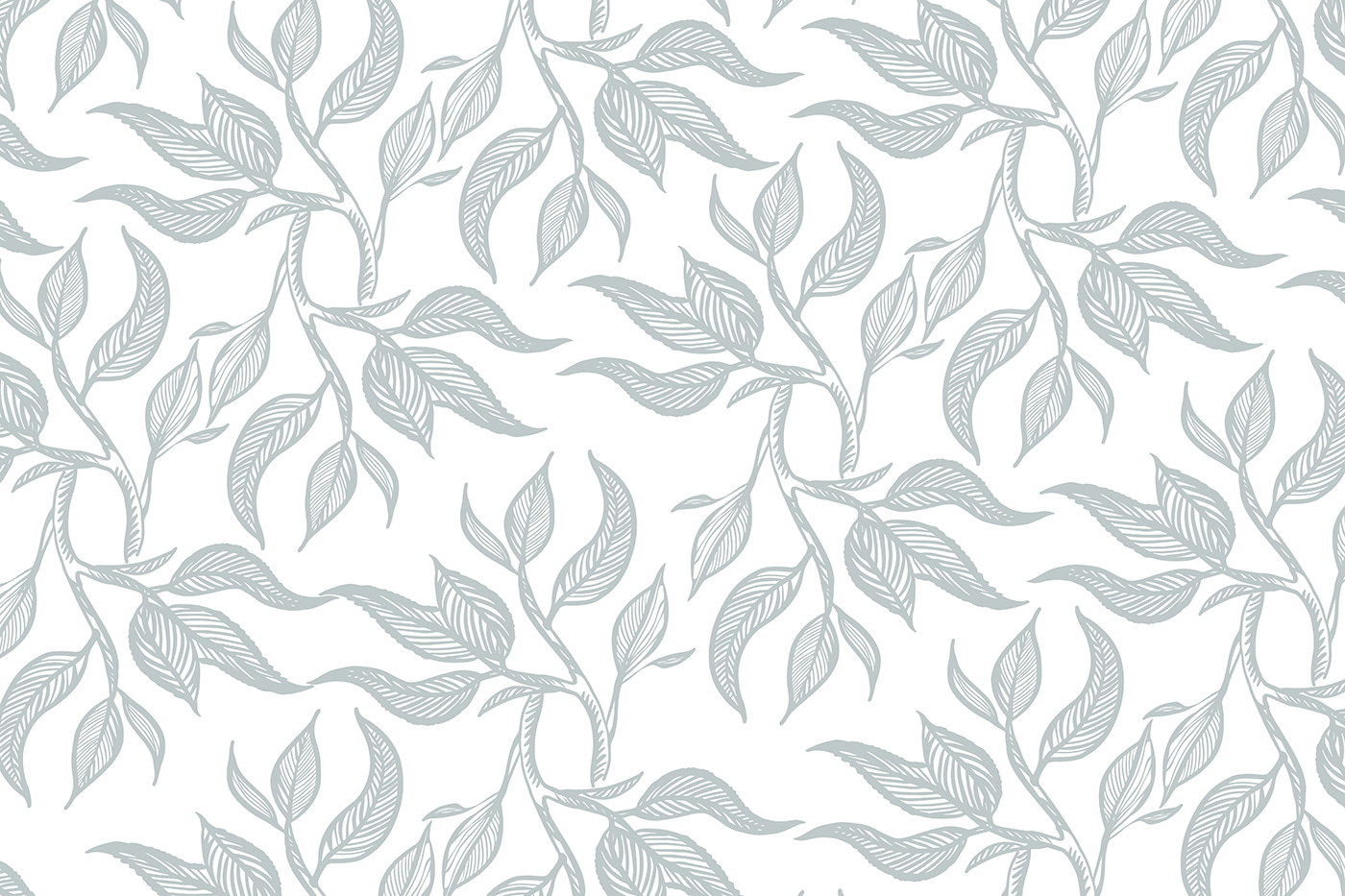 Pattern of leaves on a white background u96720p - Pattern of leaves on a white background - tegory
