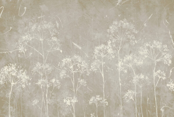 A white flowers on a gray background A white flowers on a gray background