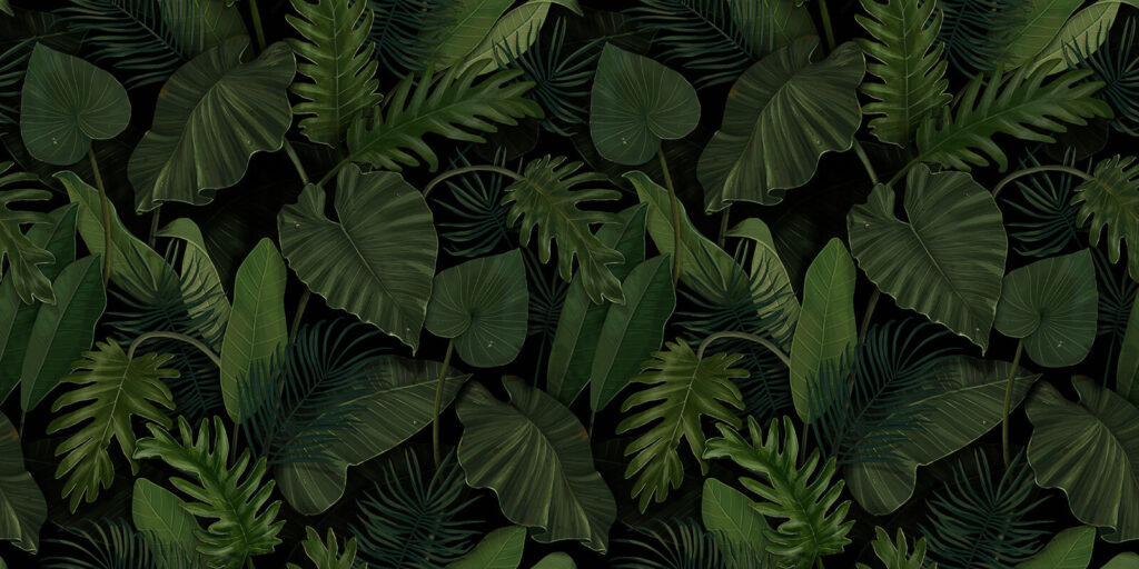Pattern of green leaves Pattern of green leaves