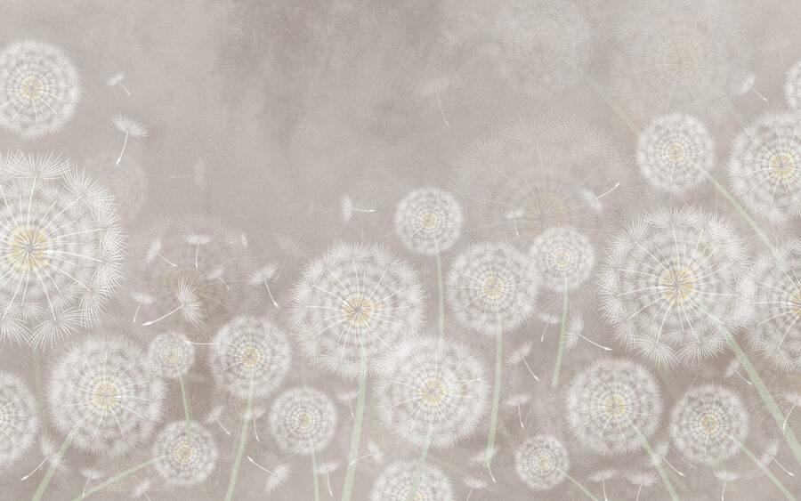 Group of dandelions