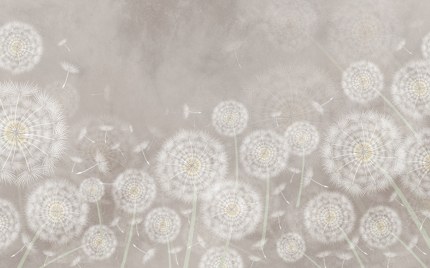 Group of dandelions Group of dandelions