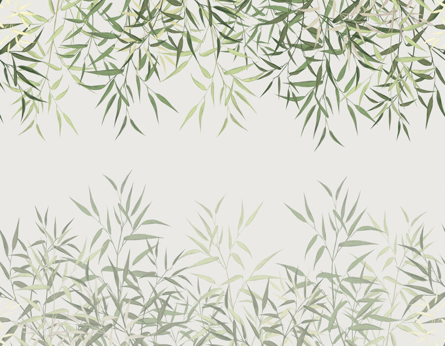 Delicate bamboo leaves on soft background. Delicate bamboo leaves on soft background.