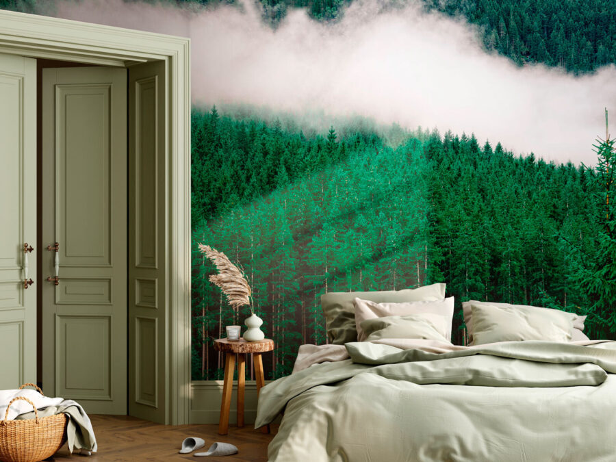 A forest of trees with fog