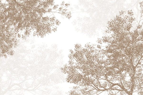 Group of trees with leaves Group of trees with leaves