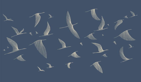 Group of birds flying Group of birds flying