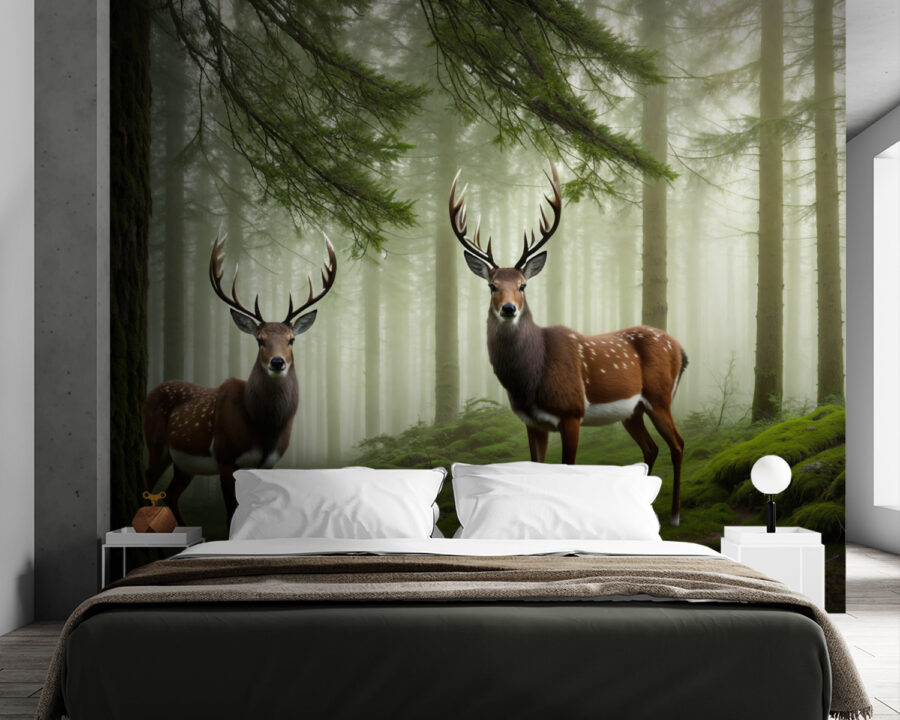 Two deer in a forest Two deer in a forest