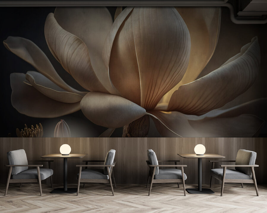 Graceful magnolia in soft light.