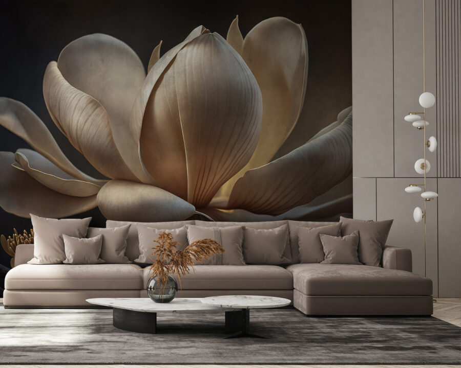 Graceful magnolia in soft light.
