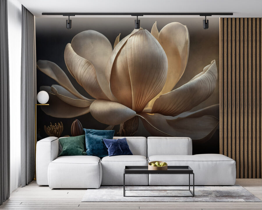 Graceful magnolia in soft light.