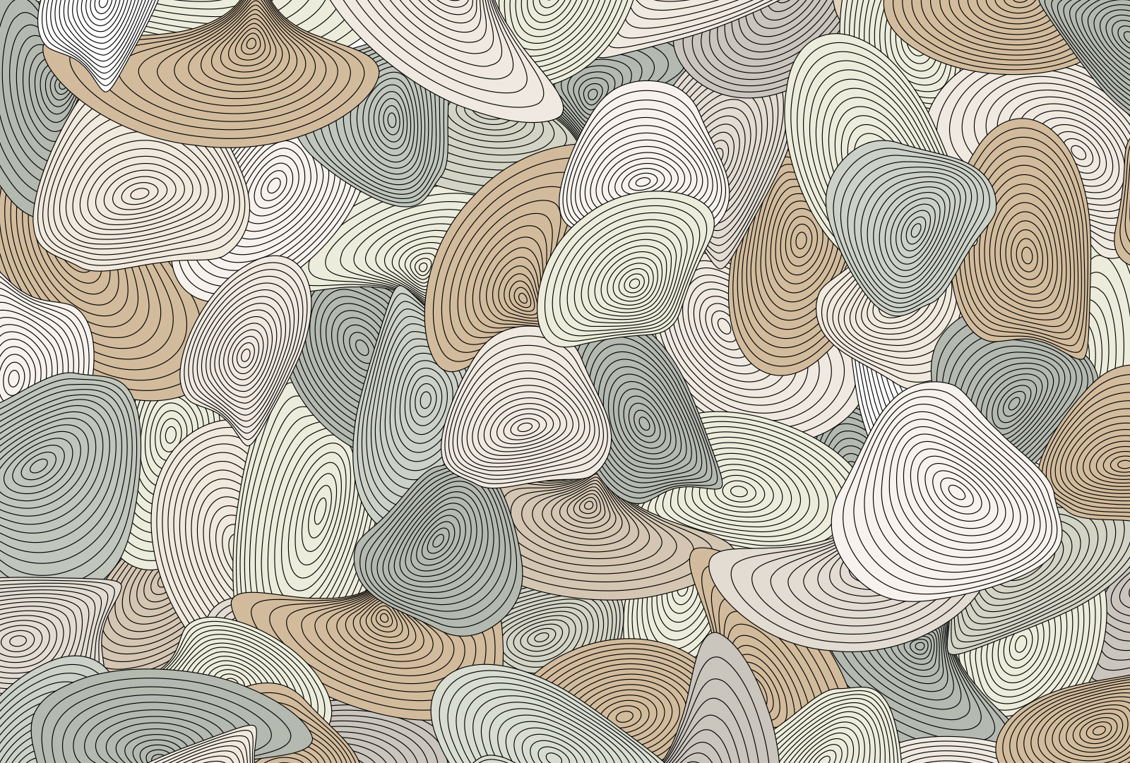 Pattern of spirals and lines u94475p - Pattern of spirals and lines