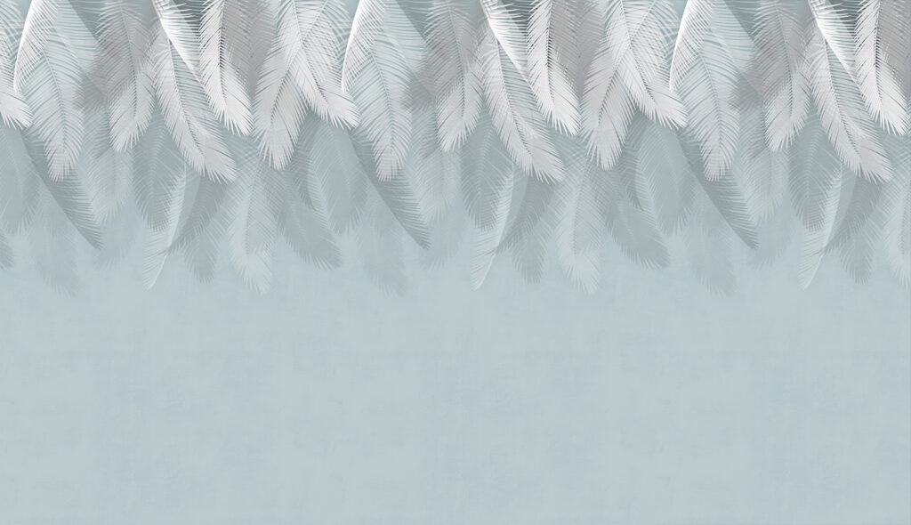 White feathers on a blue background White feathers on a blue background