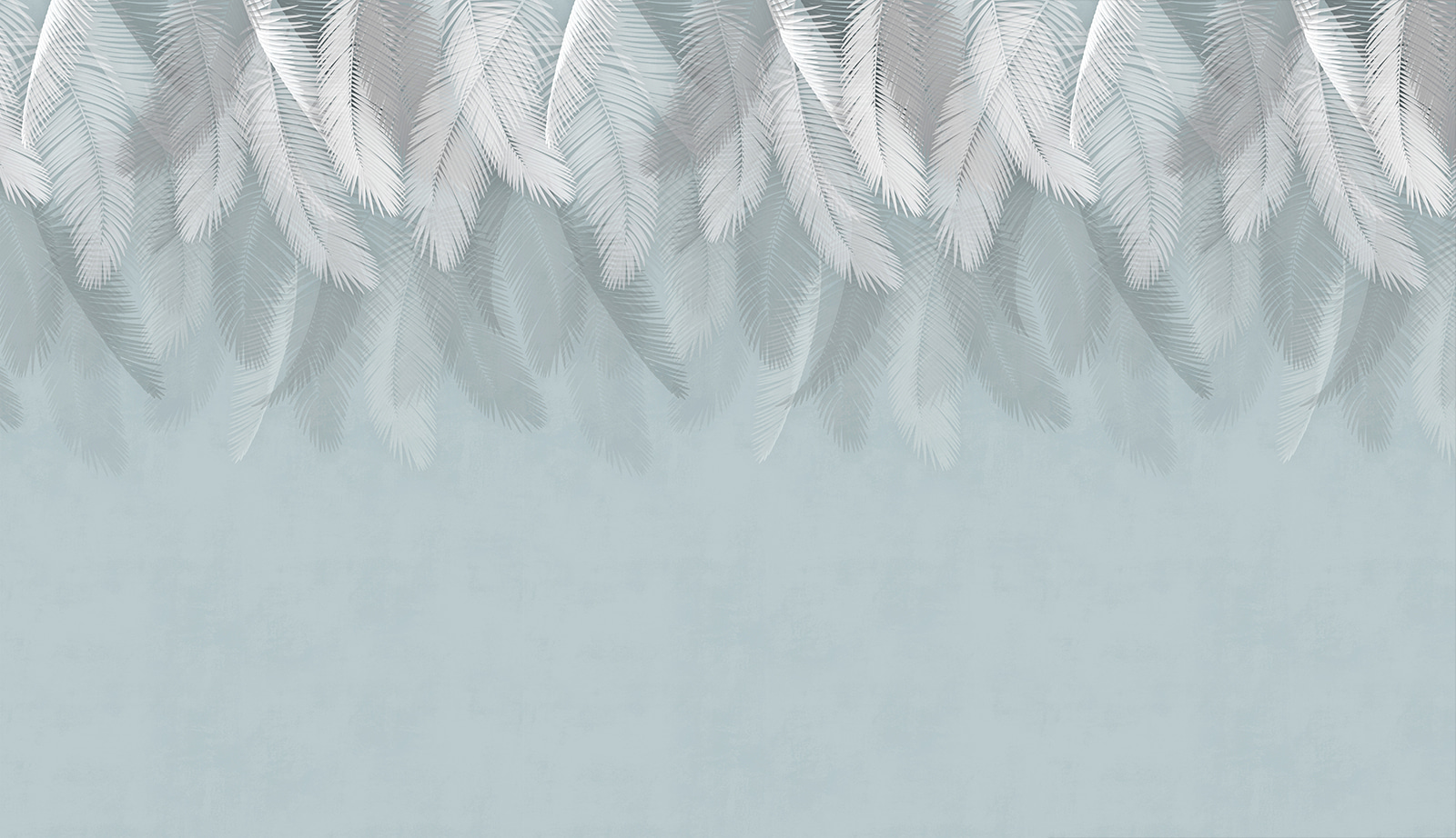 White feathers on a blue background u94466p - White feathers on a blue background - tegory