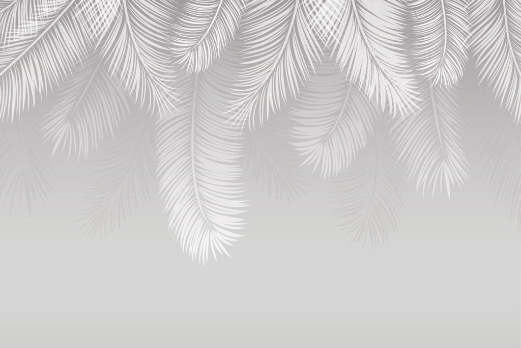 White feathers on a gray background White feathers on a gray background