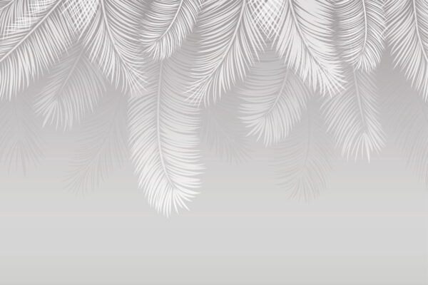 White feathers on a gray background White feathers on a gray background