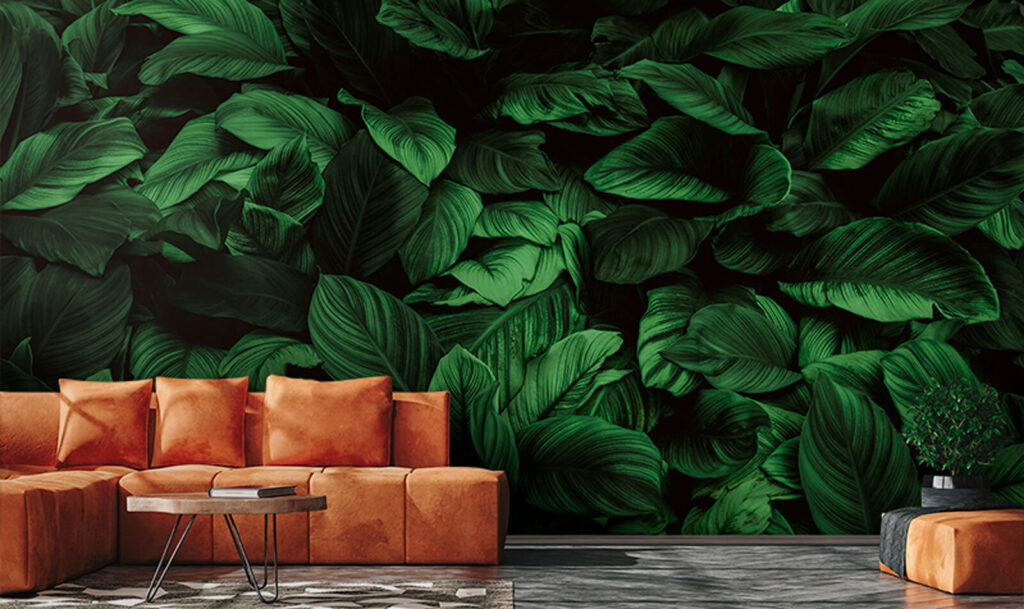 Large green leaves Large green leaves