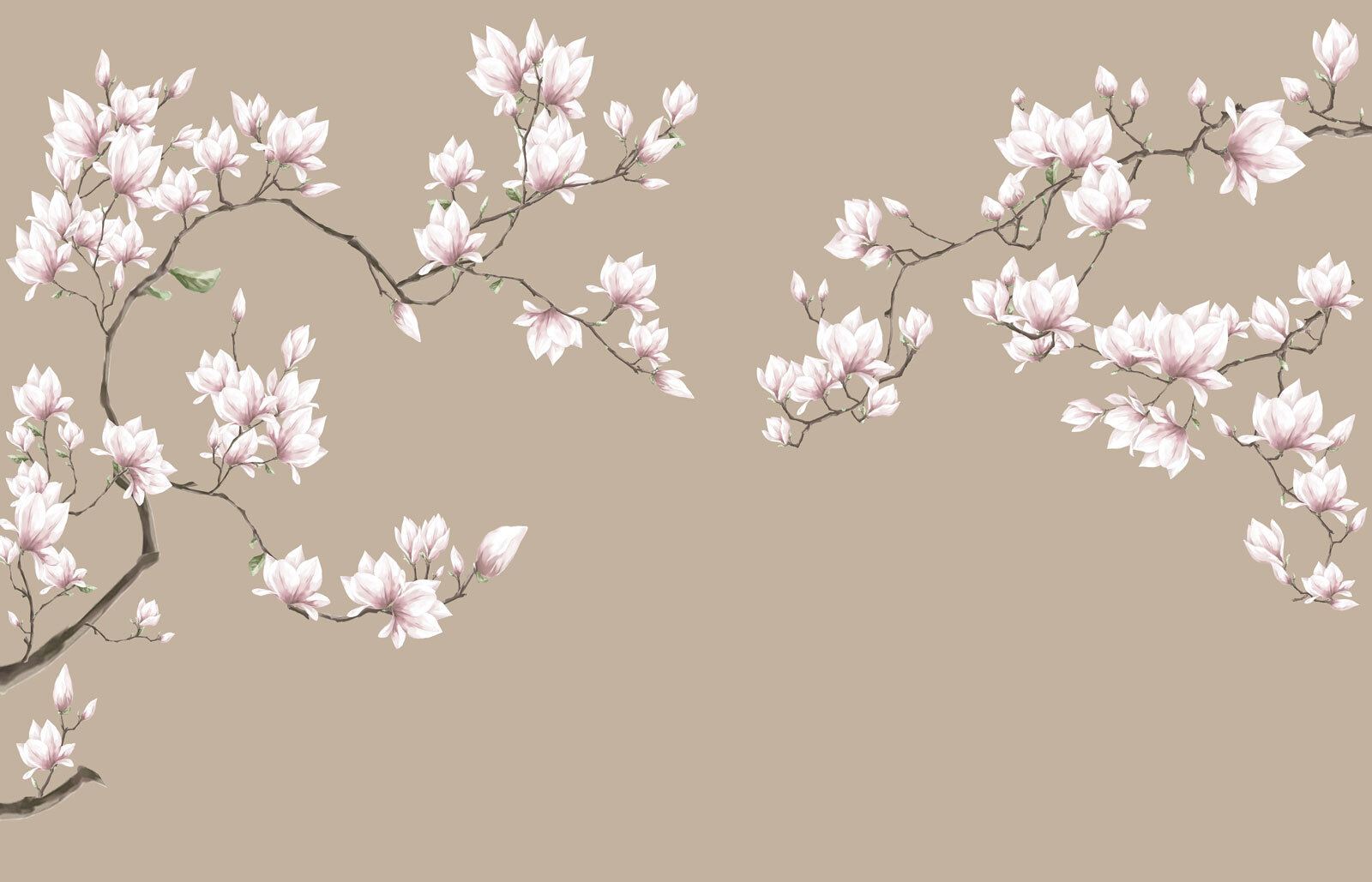 Group of white flowers on a brown background