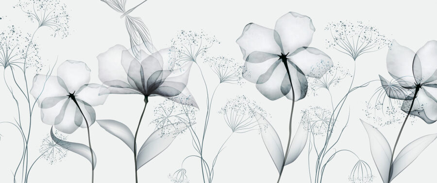 Transparent flowers with leaves Transparent flowers with leaves