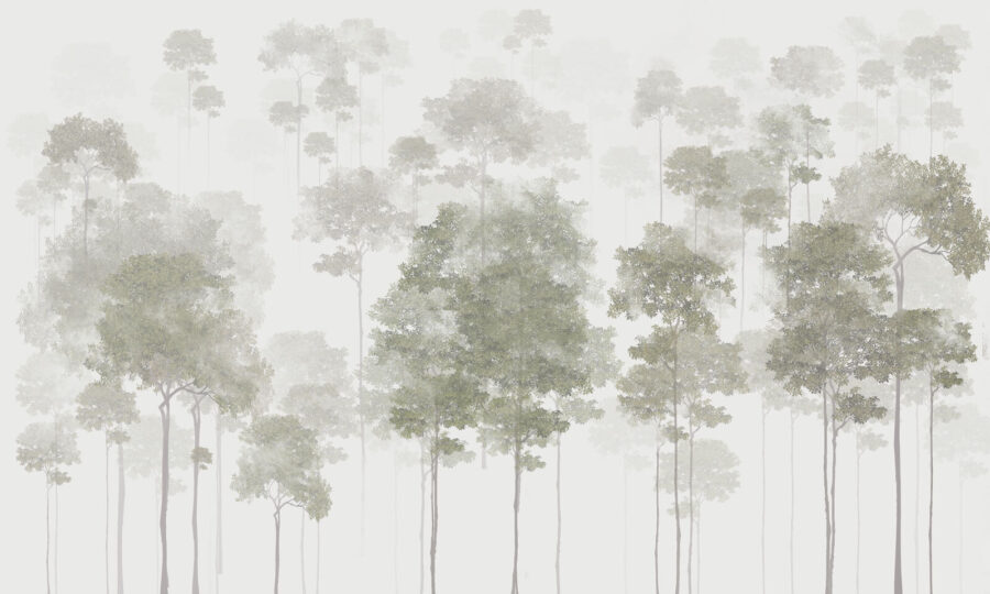 Group of trees in fog Group of trees in fog