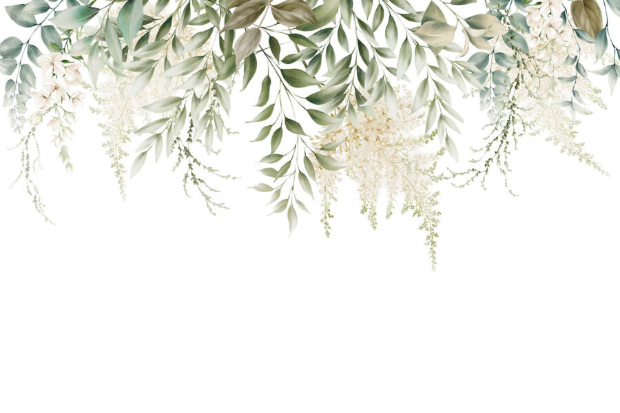 Delicate greenery on a white background.