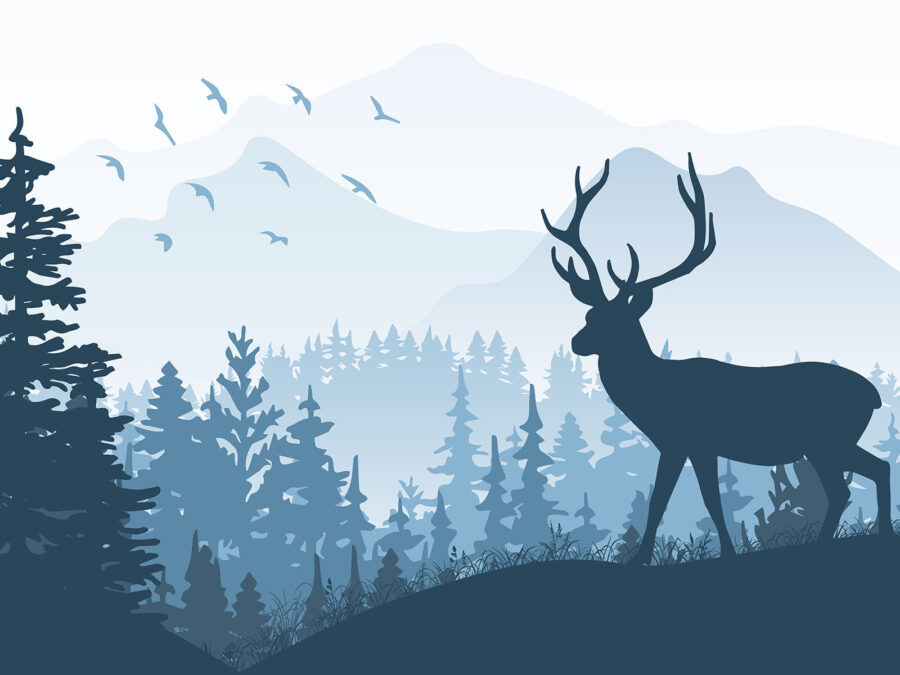 Wall murals Deer in a forest - Image 4