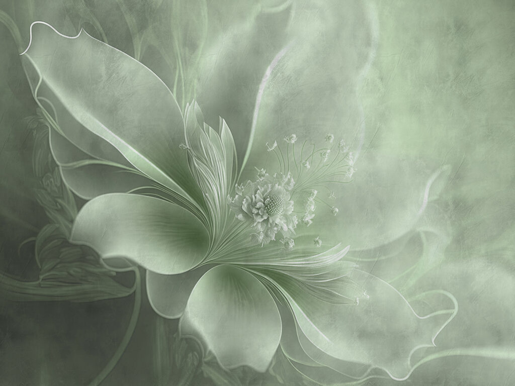 Delicate floral beauty in soft hues. Delicate floral beauty in soft hues.