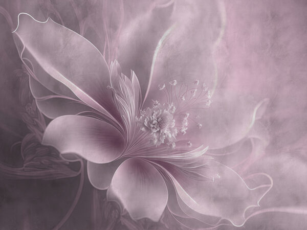 Delicate flower in soft pastel hues. Delicate flower in soft pastel hues.