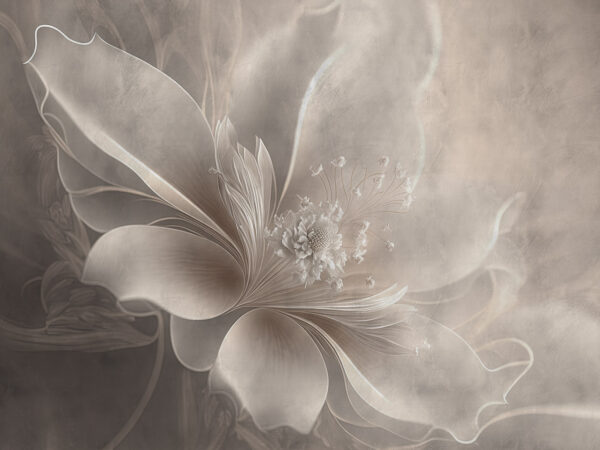 White flower with a flower on it u93944p 600x450 - White flower with a flower on it