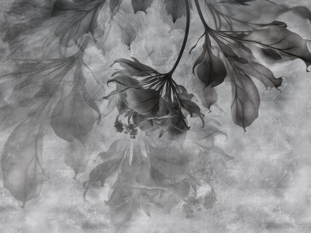 Elegant leaves in soft monochrome hues Elegant leaves in soft monochrome hues