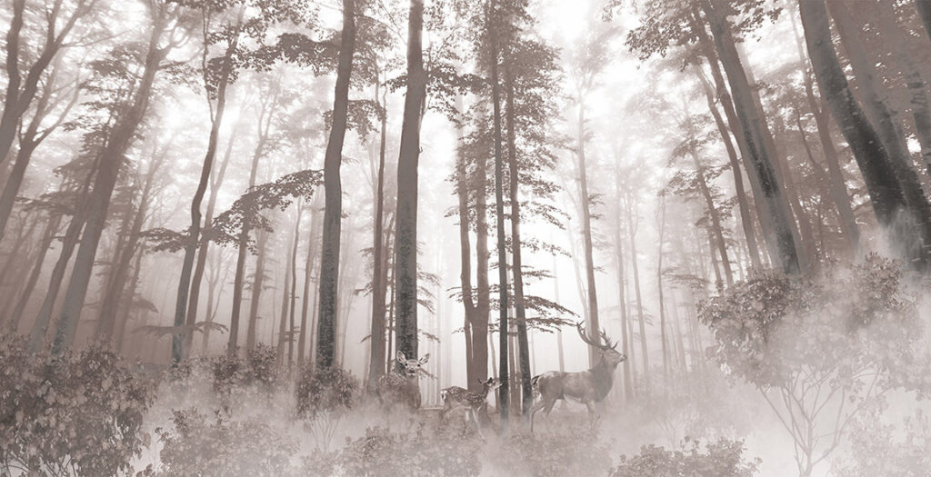 Group of deer in a forest Group of deer in a forest