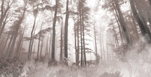 Group of deer in a forest Group of deer in a forest