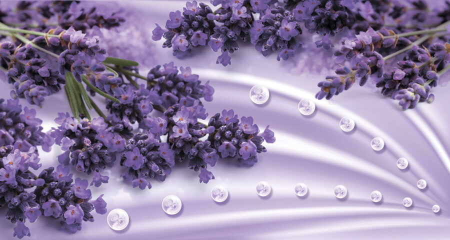 Lavender blooms in soft lavender hues