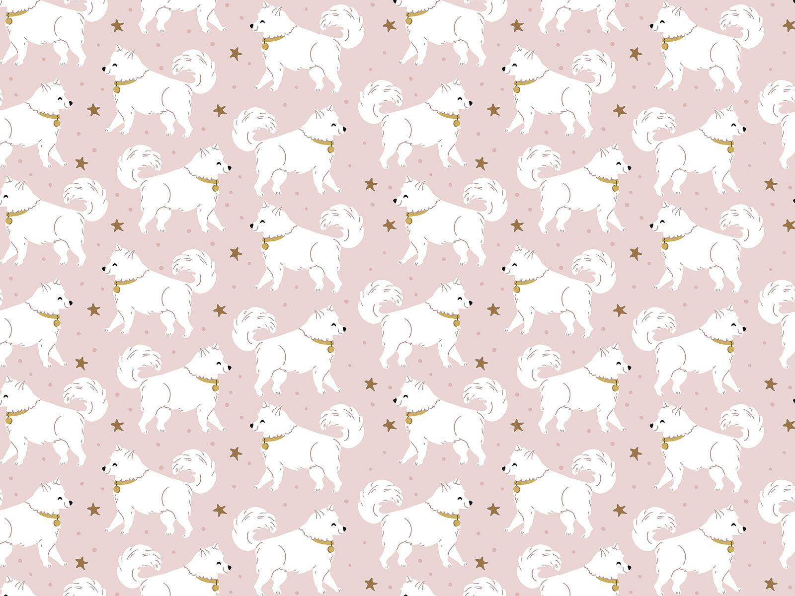 Pattern of white dogs Pattern of white dogs