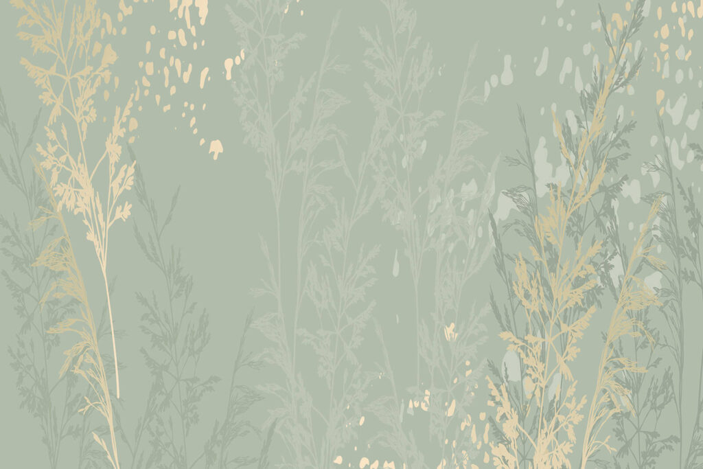 Nature’s elegance in soft hues. Nature’s elegance in soft hues.