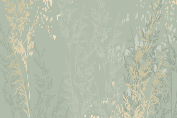Nature’s elegance in soft hues. Nature’s elegance in soft hues.