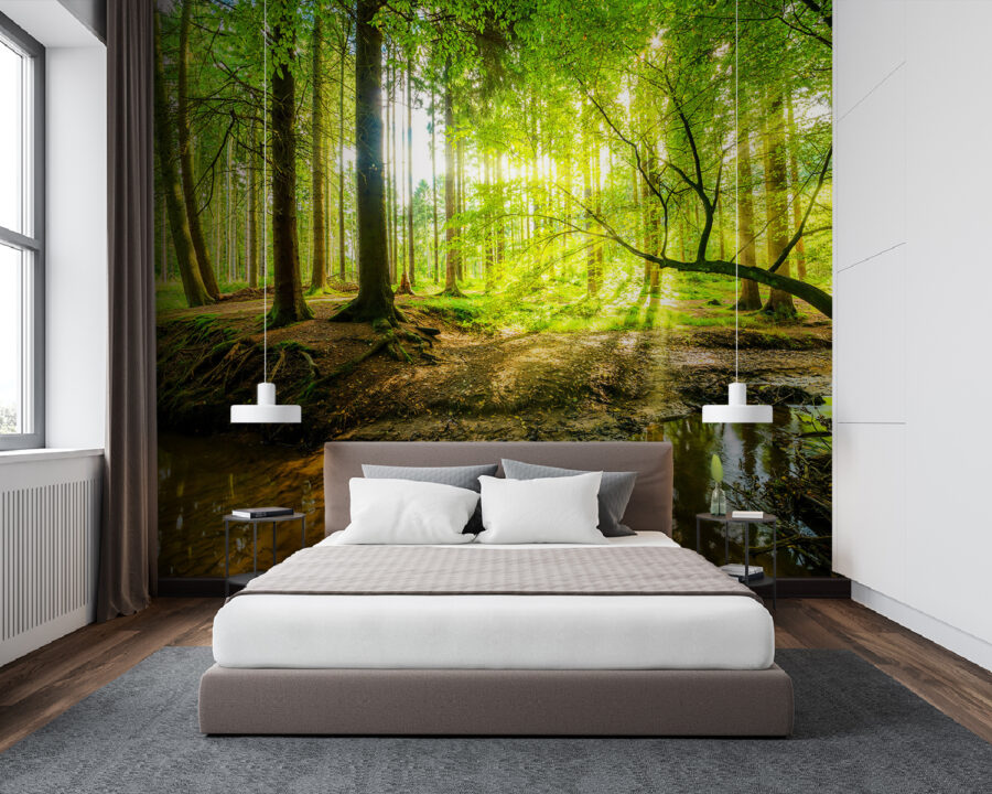 Stream in a forest