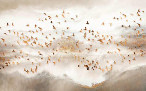 Flock of birds flying in the sky Flock of birds flying in the sky