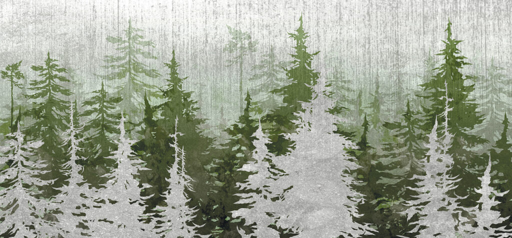 Group of trees in a forest u93516p 1024x476 - Group of trees in a forest - tegory