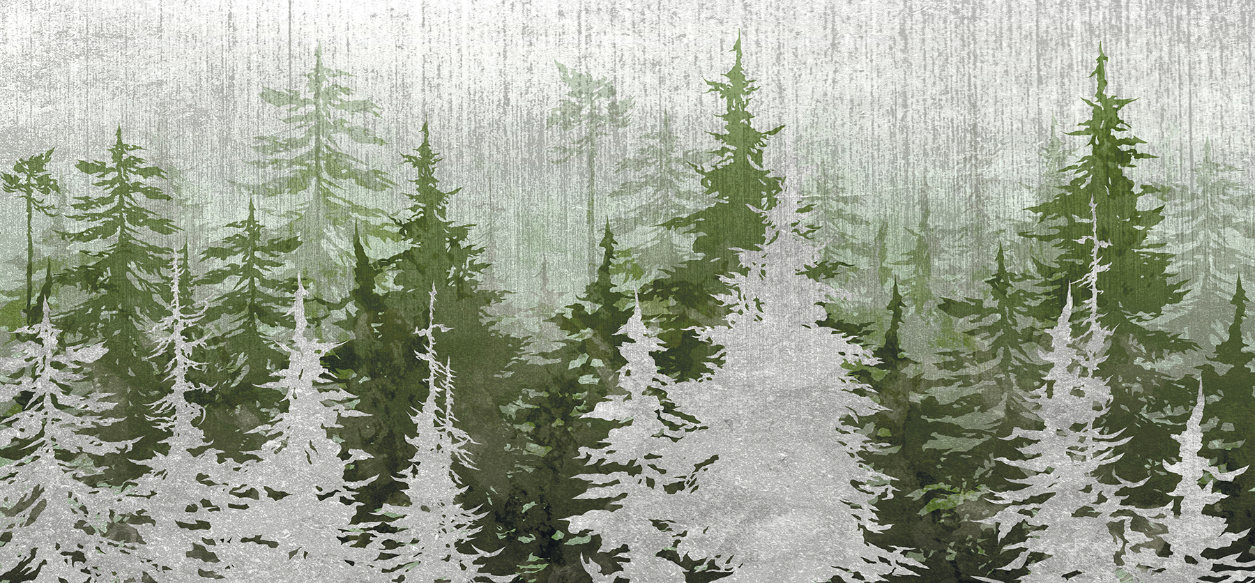 Group of trees in a forest u93516p - Group of trees in a forest - tegory