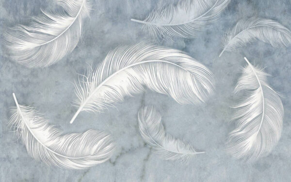 Group of white feathers Group of white feathers