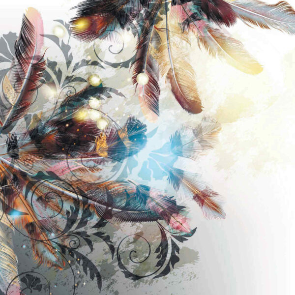 Colorful feathers and intricate patterns Colorful feathers and intricate patterns